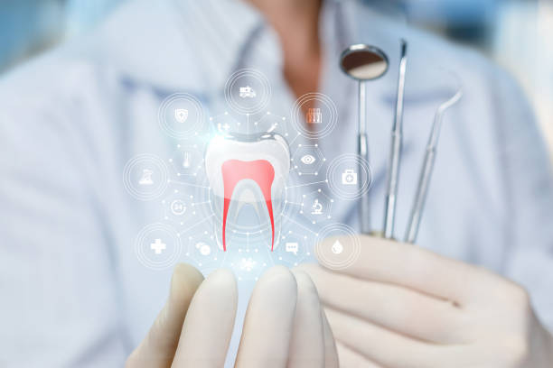Why Choose Us for Your Dental Needs in Nashotah, WI